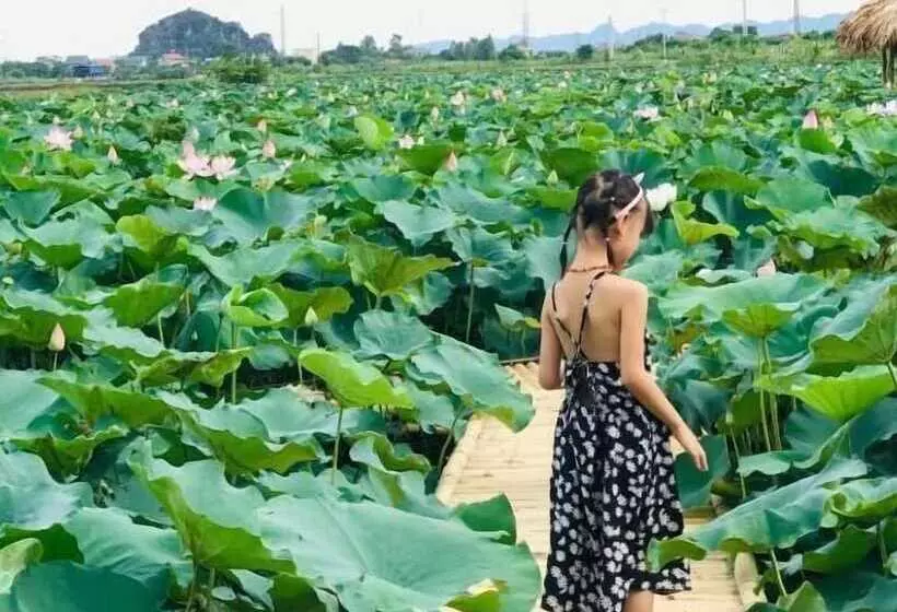پانسیون Tam Coc Craft Homestay
