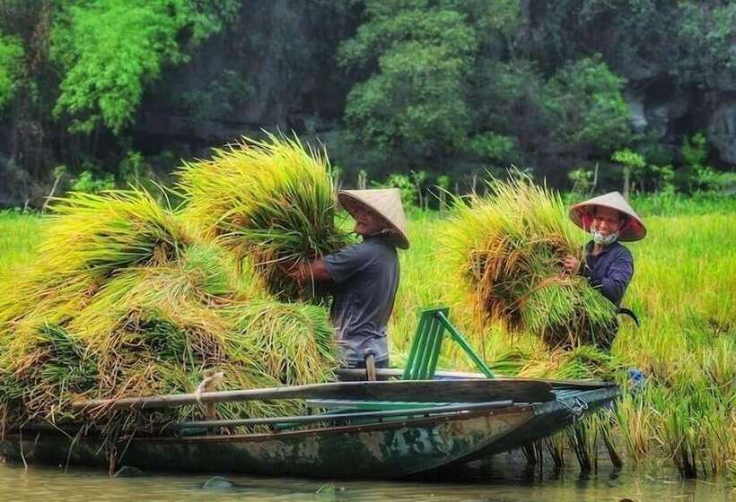 پانسیون Tam Coc Craft Homestay