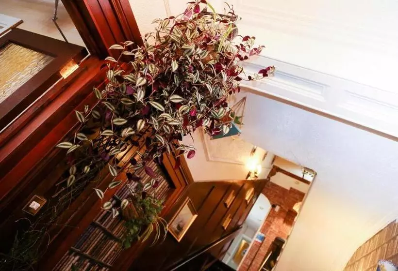 تختخواب و صبحانه Avarest House Bb Adults Only