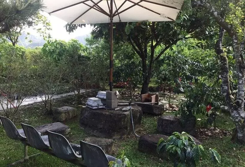 تختخواب و صبحانه Chill Villa