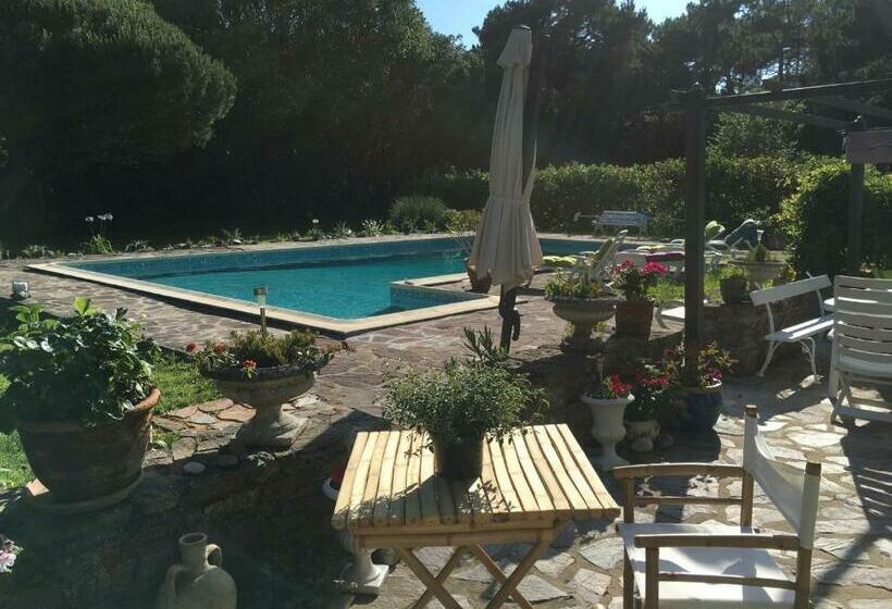 Bed and Breakfast Les Galets De Cayola