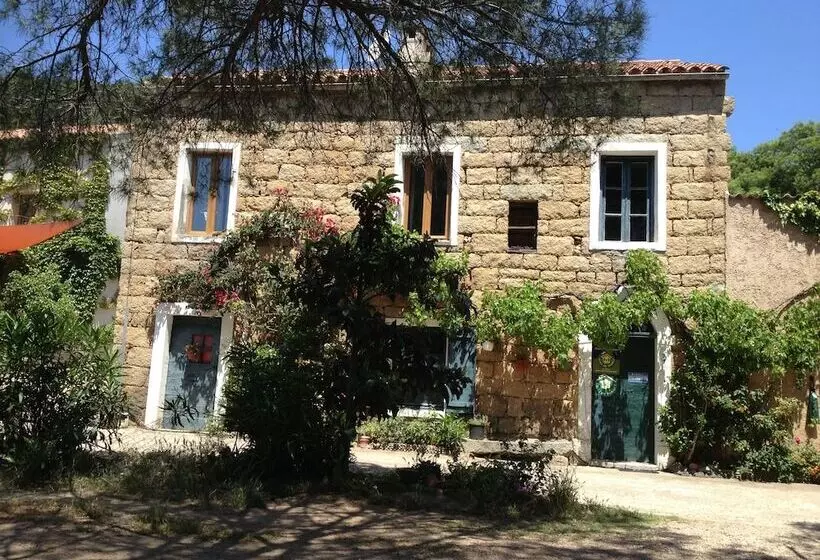 Aamiaismajoitus (B&B) L'orca Di San Gavinu