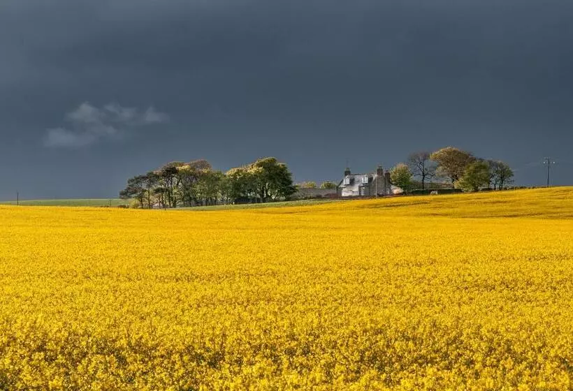 Aamiaismajoitus (B&B) Rooms At 31