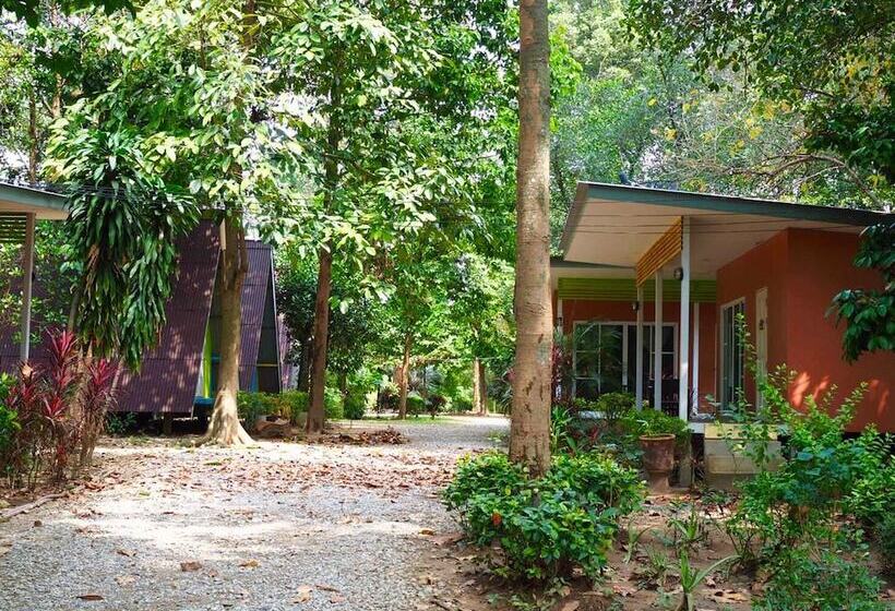 בית מלון כפרי Baan Tonmai Resort