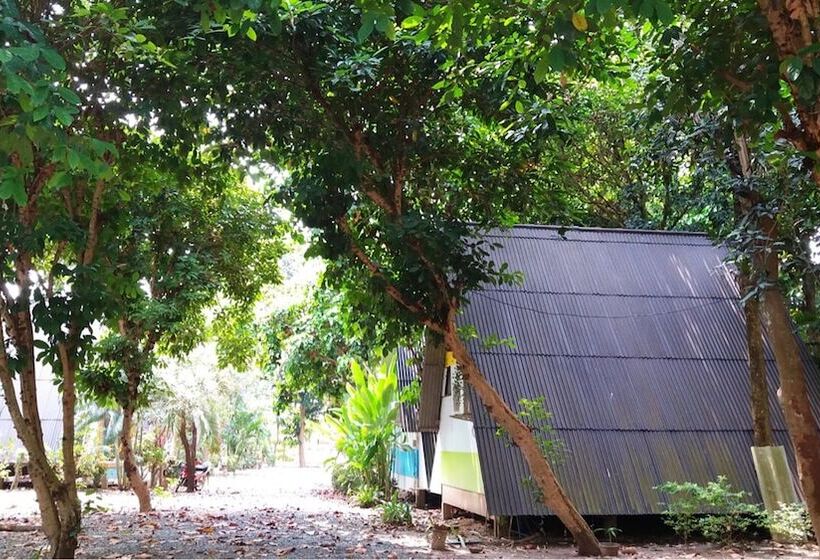 בית מלון כפרי Baan Tonmai Resort