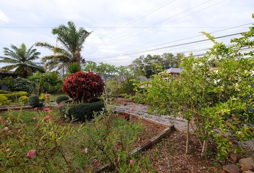 ホテル Daddy's Home Resort