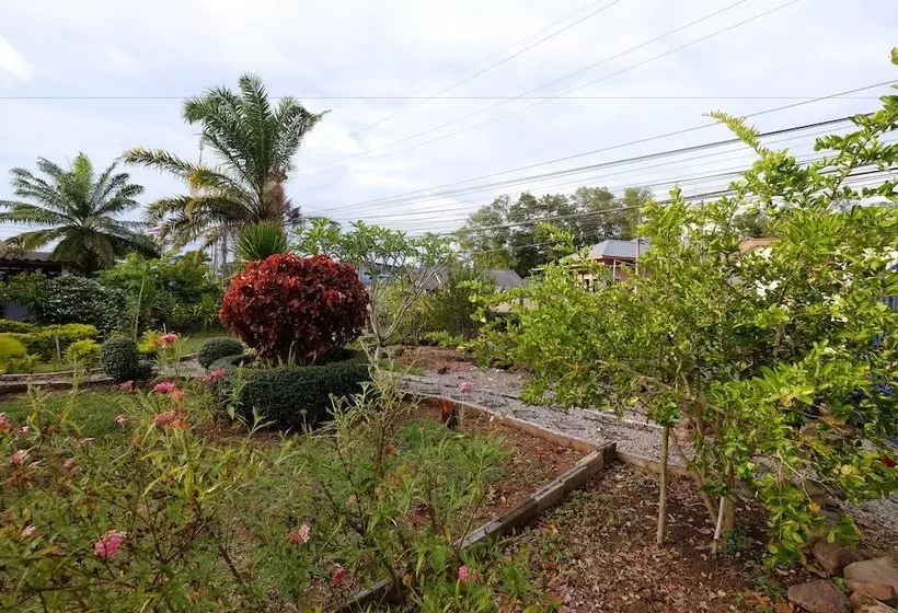 هتل Daddy's Home Resort