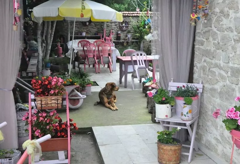 ホテル Nimet Hanım Konağı