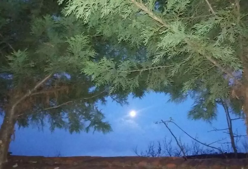 ホテル Nimet Hanım Konağı