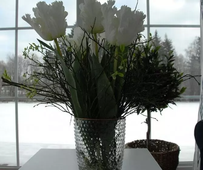 Pensionat Villa Råtorp