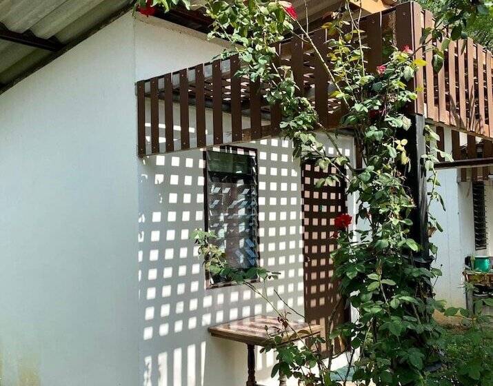 הוסטל Tribal Pai