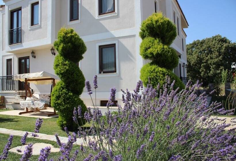 تختخواب و صبحانه Adacayi Otel