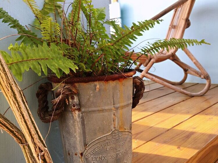 تختخواب و صبحانه Mooning The Hill