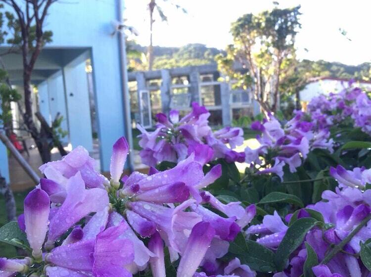 تختخواب و صبحانه Mooning The Hill