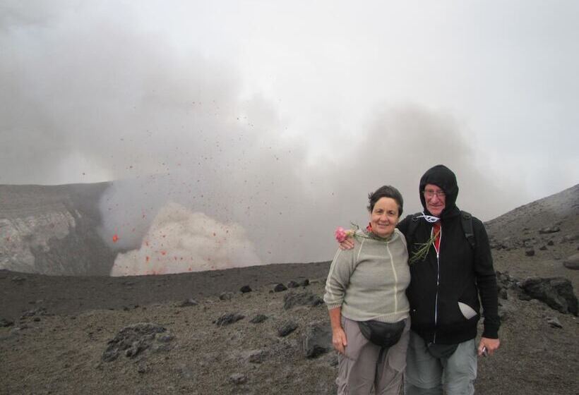 Hotel Castle Tree House
