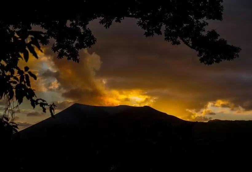 هتل Castle Tree House