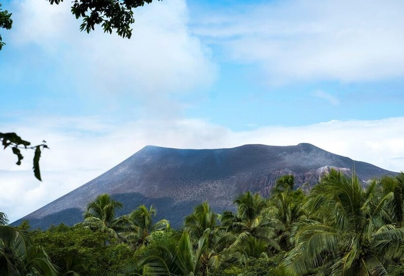 Hotel Castle Tree House