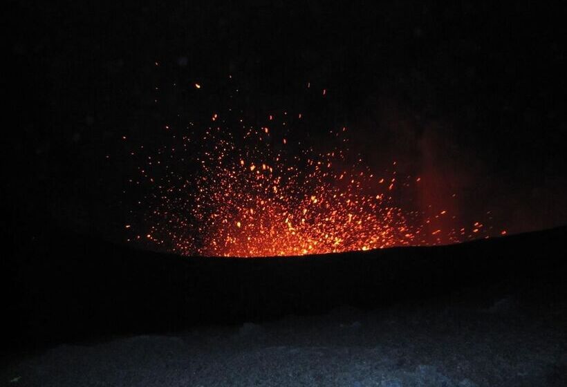 Hotel Castle Tree House