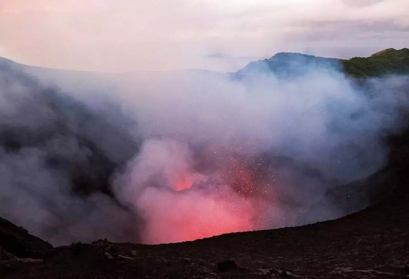 هتل Castle Tree House