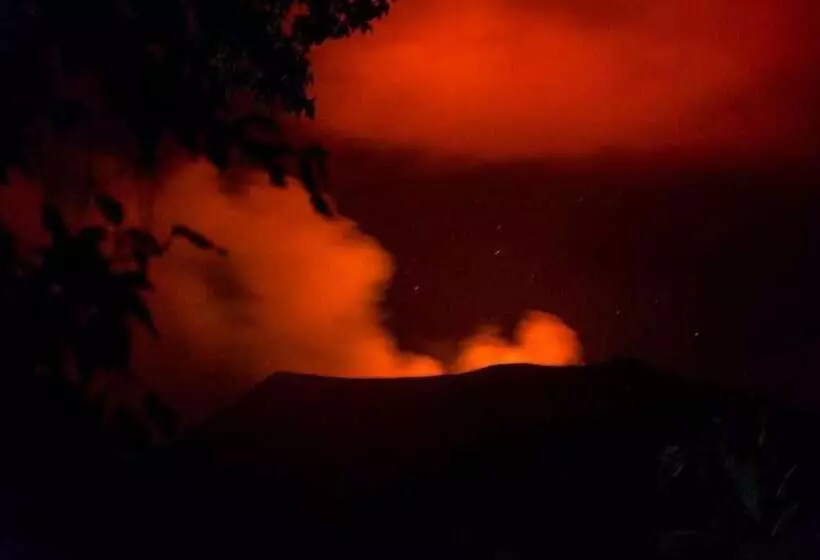 هتل Castle Tree House