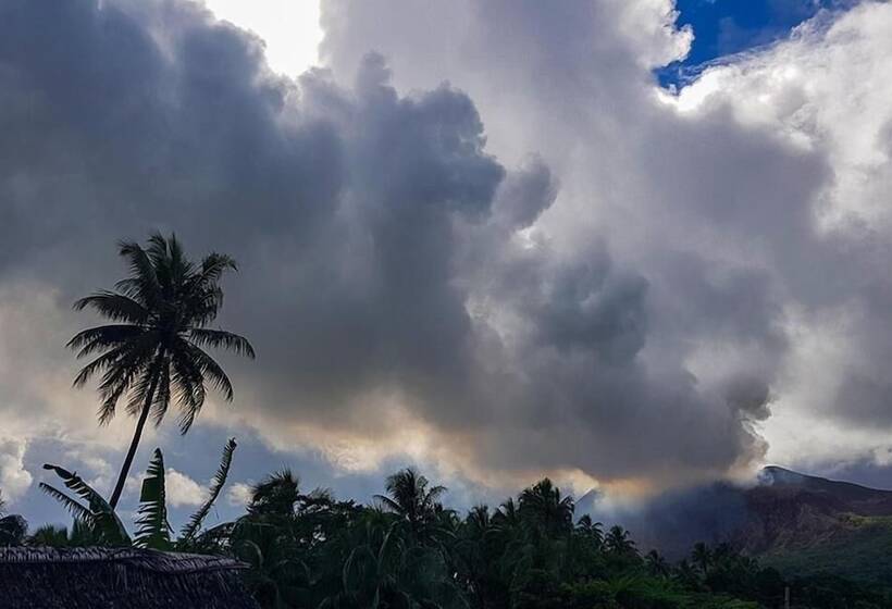 Hotel Castle Tree House