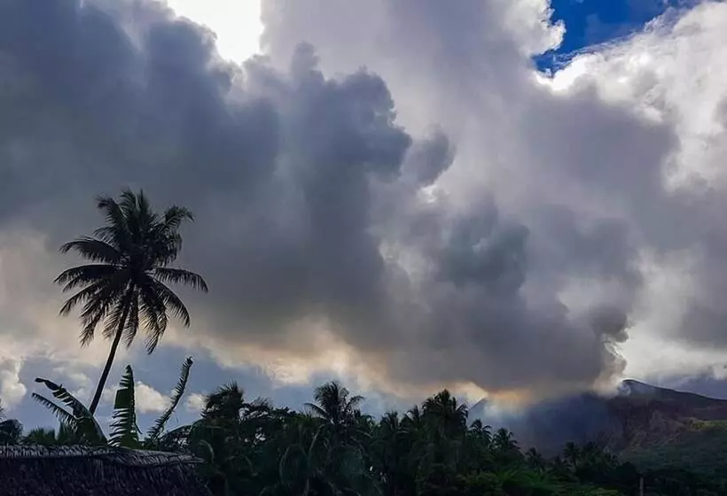 هتل Castle Tree House