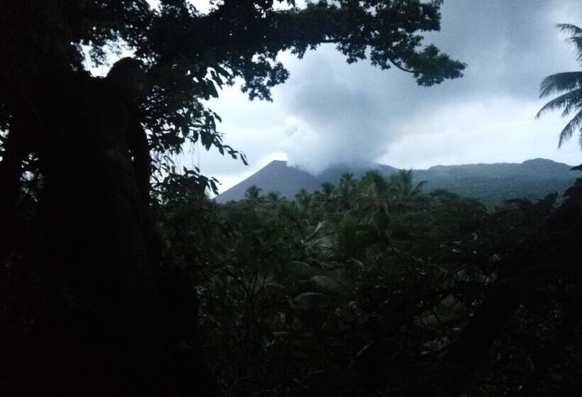 Hotel Castle Tree House