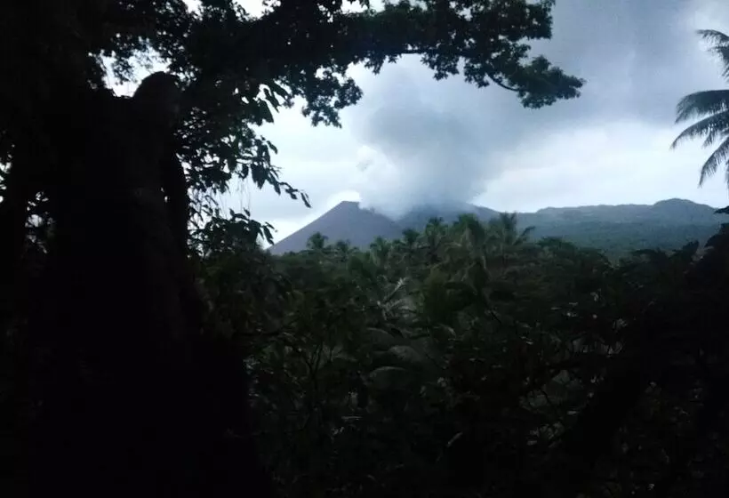 هتل Castle Tree House