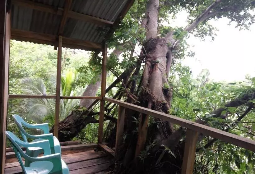 هتل Castle Tree House