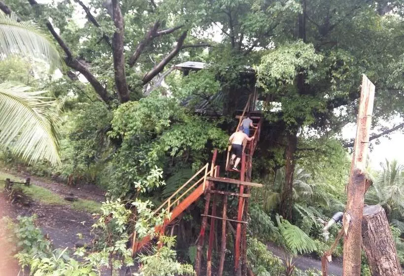 هتل Castle Tree House