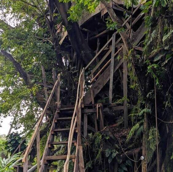 Hotel Castle Tree House