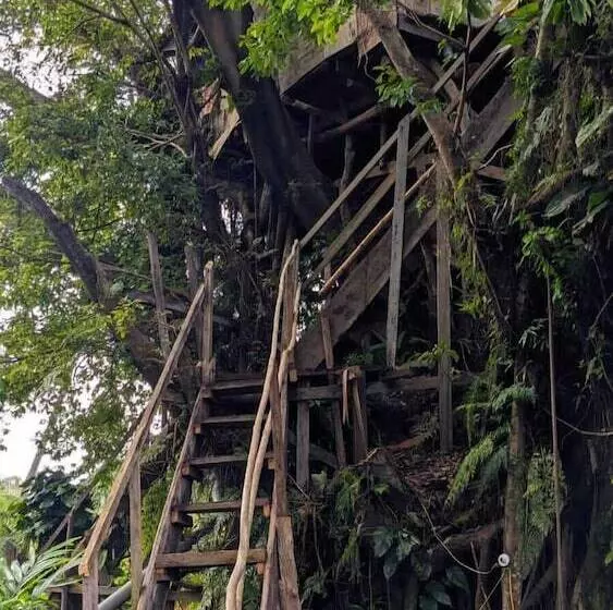 هتل Castle Tree House