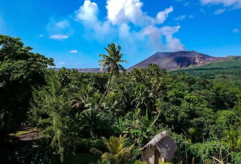 هتل Castle Tree House