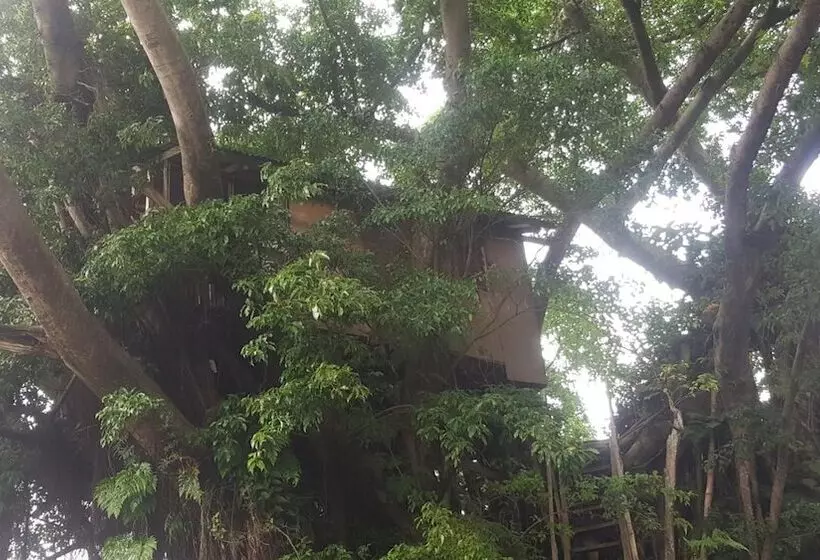 هتل Castle Tree House
