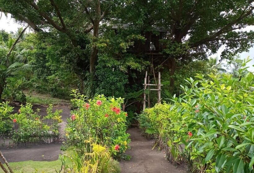 Hotel Castle Tree House