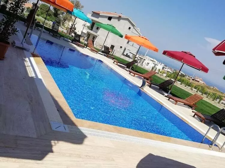ホテル Mordoğan Zeytinli Konak Butik