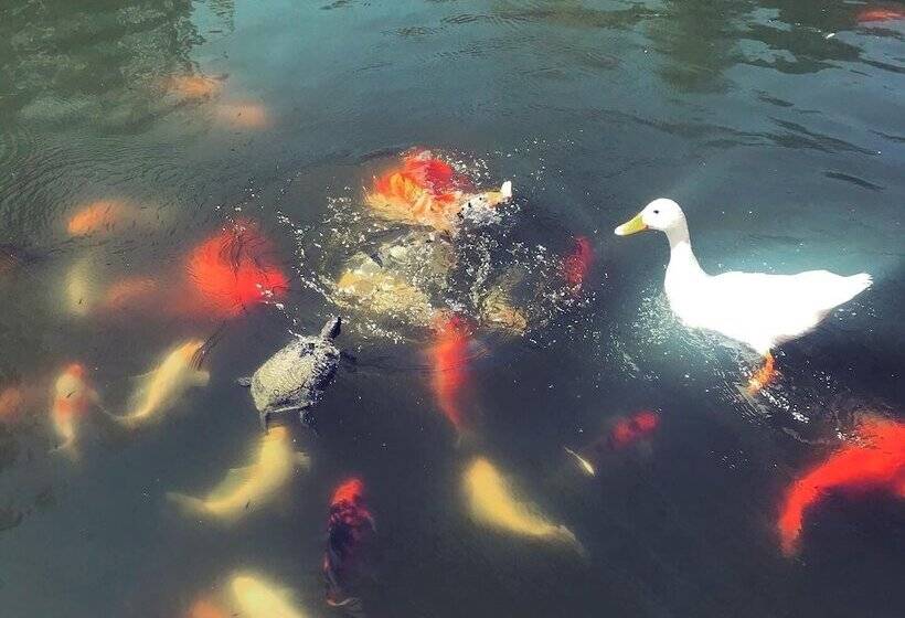 בית מלון כפרי Otantik Tas Ev