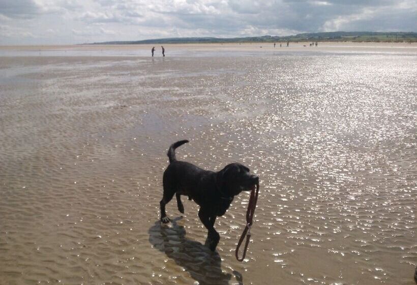 Пансион Broncoed Uchaf Country Guest House