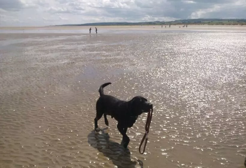 ペンション Broncoed Uchaf Country Guest House