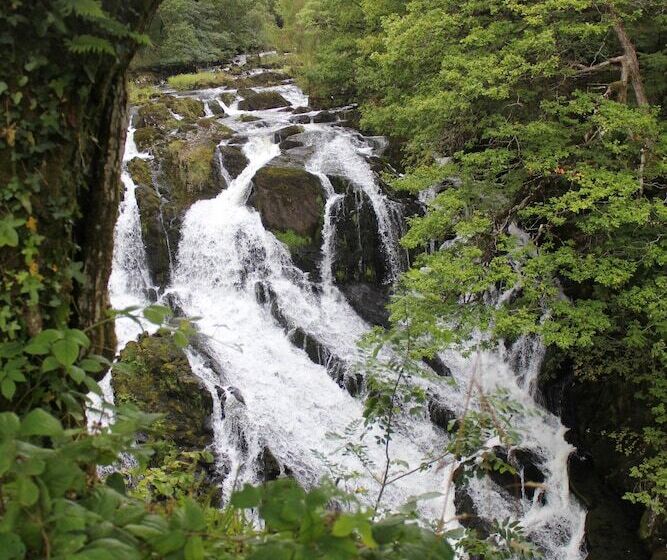 Пансион Broncoed Uchaf Country Guest House