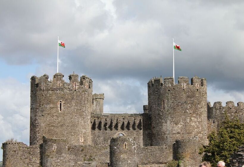 Пансион Broncoed Uchaf Country Guest House