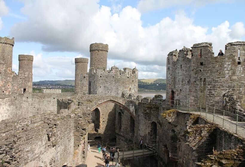 Пансион Broncoed Uchaf Country Guest House