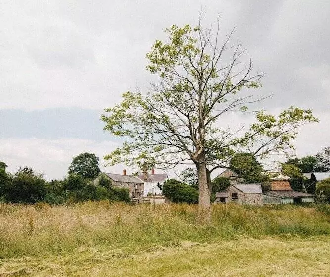 ペンション Broncoed Uchaf Country Guest House