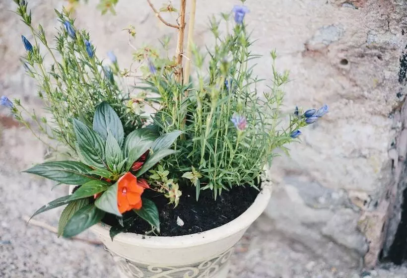 ペンション Broncoed Uchaf Country Guest House