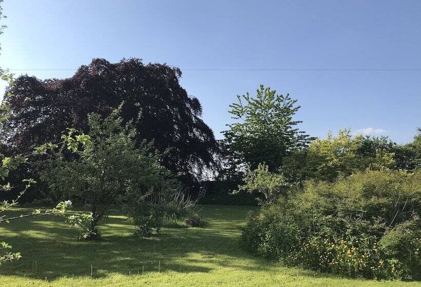 Пансион Broncoed Uchaf Country Guest House