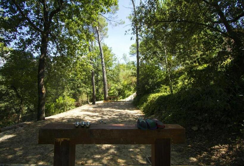 بنسيون Domaine Les Cigales