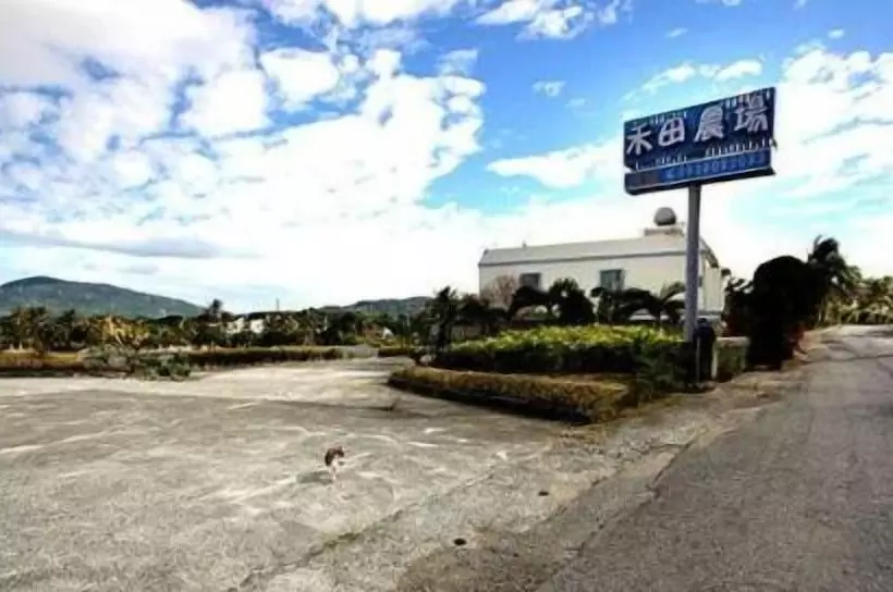 پانسیون Hotian Farm