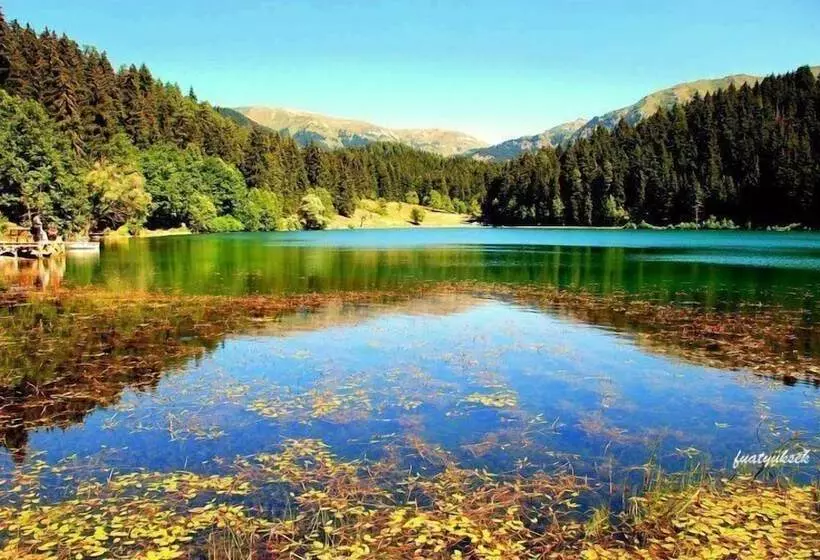 Pension Pinar Kir Evi