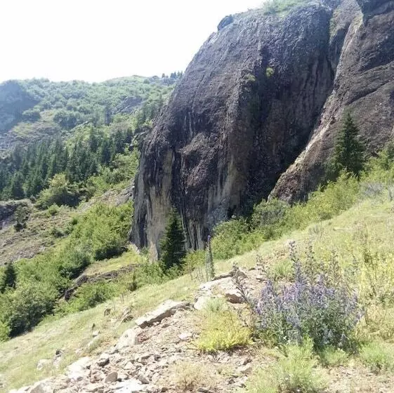 Balkon Pansiyon