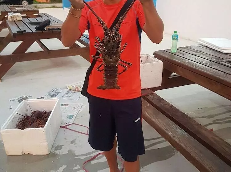 تختخواب و صبحانه Ou Hai You Travel